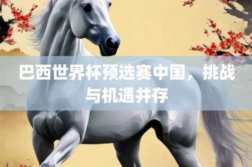 巴西世界杯预选赛中国，挑战与机遇并存