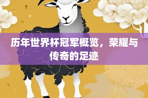 历年世界杯冠军概览，荣耀与传奇的足迹