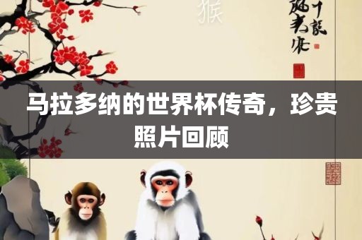 马拉多纳的世界杯传奇，珍贵照片回顾