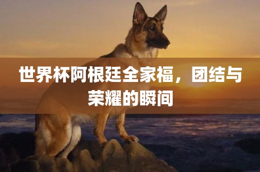 世界杯阿根廷全家福，团结与荣耀的瞬间