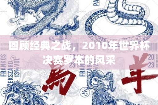 回顾经典之战，2010年世界杯决赛罗本的风采