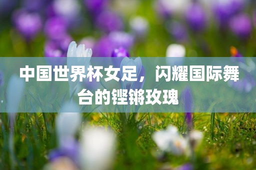 中国世界杯女足,闪耀国际舞台的铿锵玫瑰