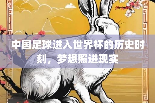 中国足球进入世界杯的历史时刻，梦想照进现实