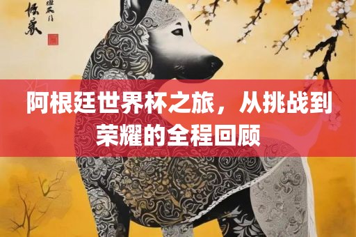 阿根廷世界杯之旅，从挑战到荣耀的全程回顾