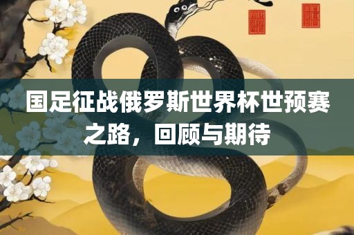 国足征战俄罗斯世界杯世预赛之路，回顾与期待