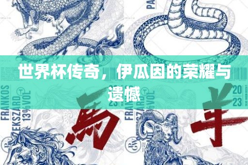 世界杯传奇，伊瓜因的荣耀与遗憾