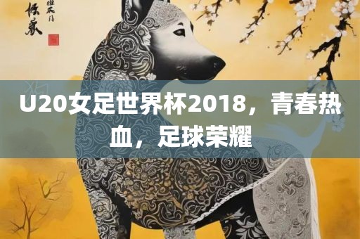U20女足世界杯2018，青春热血，足球荣耀