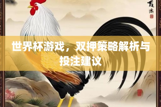 世界杯游戏，双押策略解析与投注建议