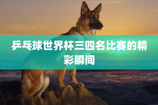 乒乓球世界杯三四名比赛的精彩瞬间