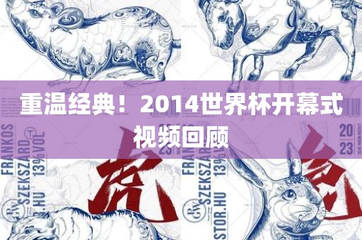 重温经典！2014世界杯开幕式视频回顾