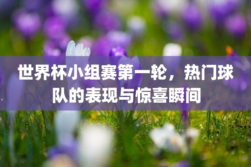 世界杯小组赛第一轮，热门球队的表现与惊喜瞬间