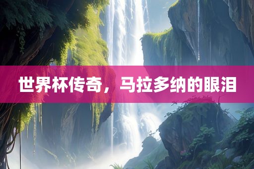 世界杯传奇，马拉多纳的眼泪