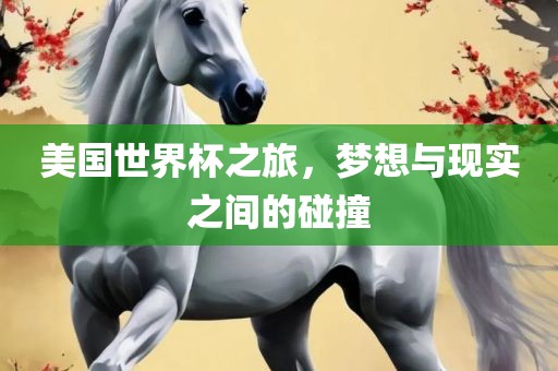 美国世界杯之旅，梦想与现实之间的碰撞