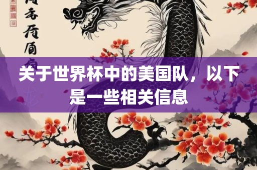 关于世界杯中的美国队，以下是一些相关信息