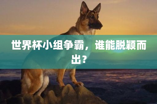 世界杯小组争霸，谁能脱颖而出？