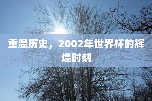 重温历史，2002年世界杯的辉煌时刻