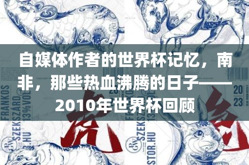 自媒体作者的世界杯记忆，南非，那些热血沸腾的日子——2010年世界杯回顾