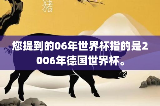 您提到的06年世界杯指的是2006年德国世界杯。