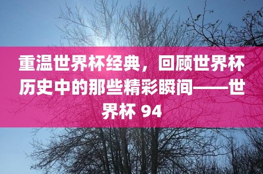 重温世界杯经典,回顾世界杯历史中的那些精彩瞬间——世界杯 94