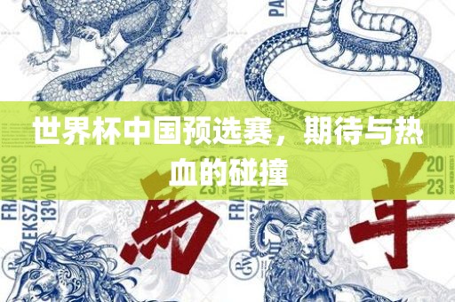 世界杯中国预选赛，期待与热血的碰撞