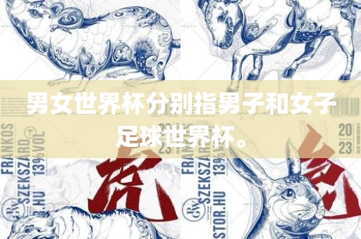 男女世界杯分别指男子和女子足球世界杯。