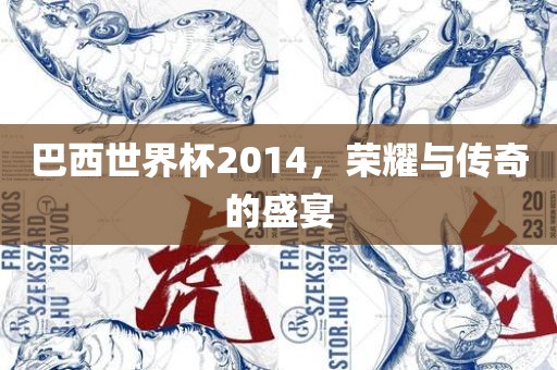 巴西世界杯2014，荣耀与传奇的盛宴
