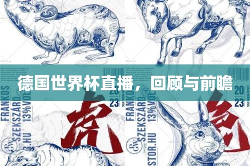 德国世界杯直播，回顾与前瞻