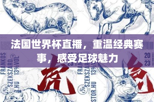 法国世界杯直播，重温经典赛事，感受足球魅力