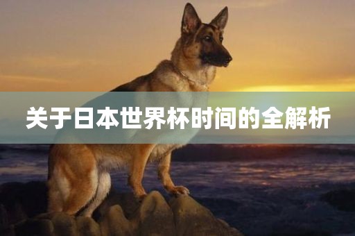 关于日本世界杯时间的全解析