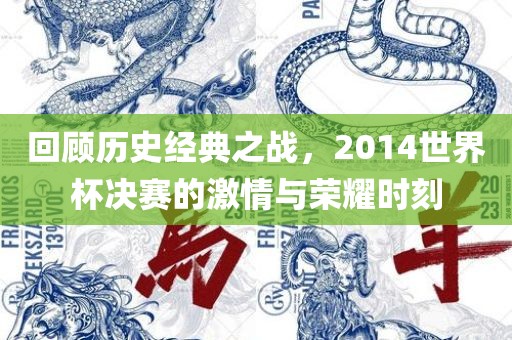 回顾历史经典之战，2014世界杯决赛的激情与荣耀时刻
