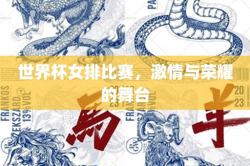 世界杯女排比赛，激情与荣耀的舞台