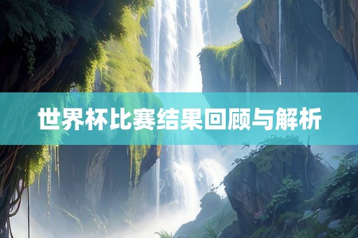 世界杯比赛结果回顾与解析