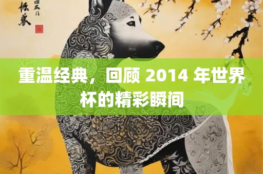 重温经典，回顾 2014 年世界杯的精彩瞬间