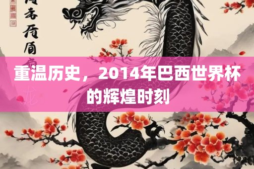 重温历史，2014年巴西世界杯的辉煌时刻