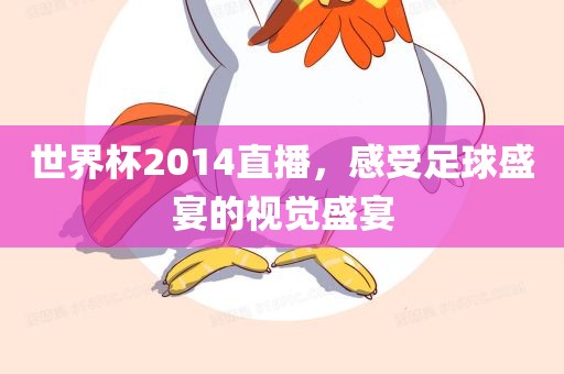 世界杯2014直播，感受足球盛宴的视觉盛宴