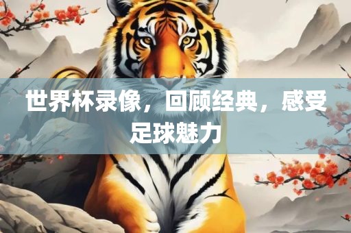 世界杯录像，回顾经典，感受足球魅力