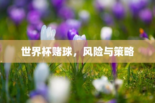 世界杯赌球，风险与策略