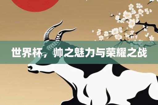 世界杯，帅之魅力与荣耀之战
