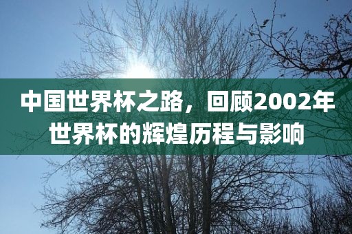 中国世界杯之路,回顾2002年世界杯的辉煌历程与影响