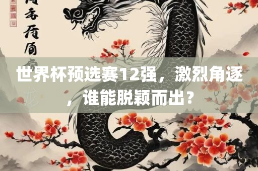 世界杯预选赛12强，激烈角逐，谁能脱颖而出？