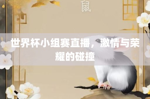 世界杯小组赛直播，激情与荣耀的碰撞