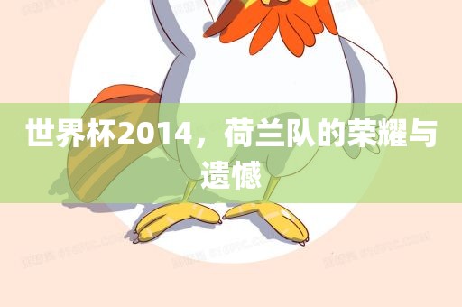 世界杯2014，荷兰队的荣耀与遗憾