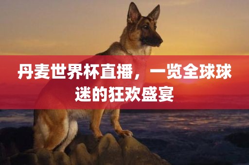丹麦世界杯直播，一览全球球迷的狂欢盛宴