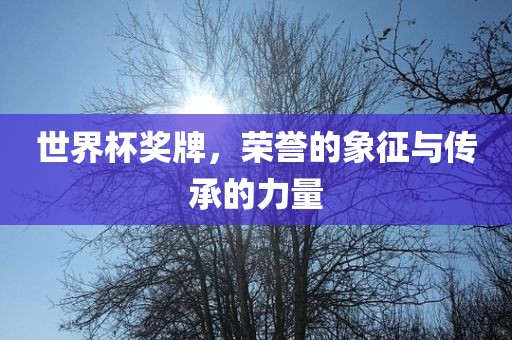 世界杯奖牌,荣誉的象征与传承的力量