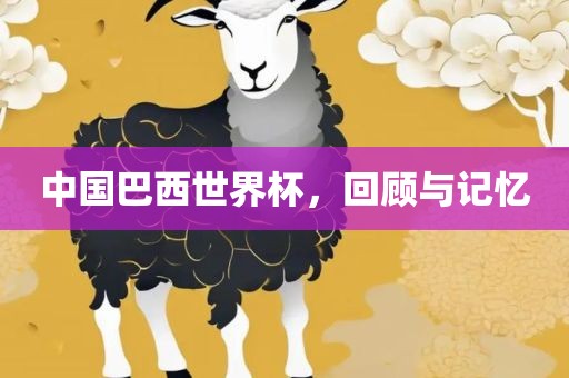 中国巴西世界杯，回顾与记忆