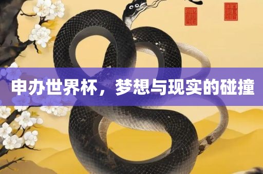 申办世界杯，梦想与现实的碰撞
