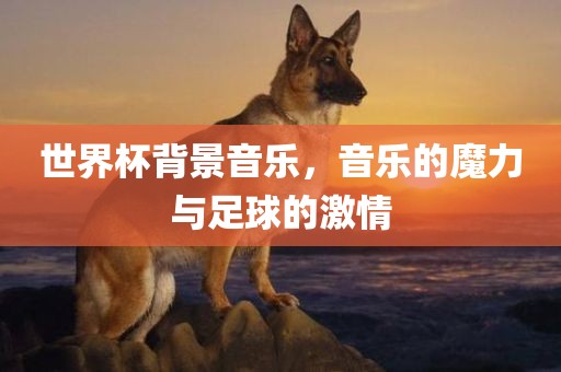 世界杯背景音乐，音乐的魔力与足球的激情