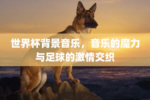 世界杯背景音乐，音乐的魔力与足球的激情交织
