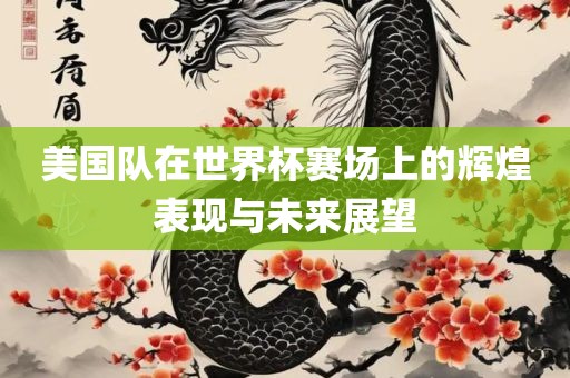 美国队在世界杯赛场上的辉煌表现与未来展望