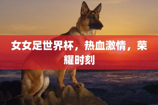 女女足世界杯，热血激情，荣耀时刻